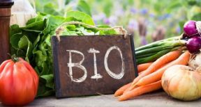 Alimentation bio : un march&eacute; de pr&egrave;s de 13 milliards d’euros