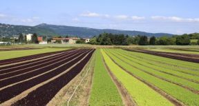 Bail rural : gare au d&eacute;part de l’un des colocataires !