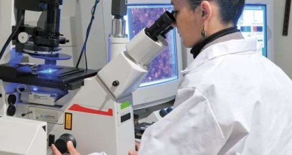 Remboursement tardif du cr&eacute;dit d’imp&ocirc;t recherche et versement d’int&eacute;r&ecirc;ts moratoires