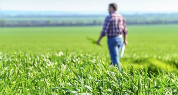 Bail rural : le bailleur doit &ecirc;tre inform&eacute; du d&eacute;part de l’un des colocataires !