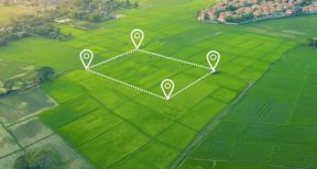 Mise &agrave; disposition de terres agricoles &agrave; la Safer : avec l’accord du nu-propri&eacute;taire !
