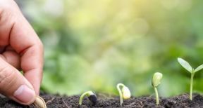 De nouvelles mesures pour accompagner les start-up de la transition &eacute;cologique