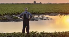 Agriculteurs victimes des inondations : une prise en charge de vos cotisations