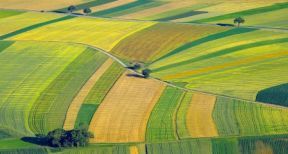 Quel prix pour les terres agricoles en 2020 ?
