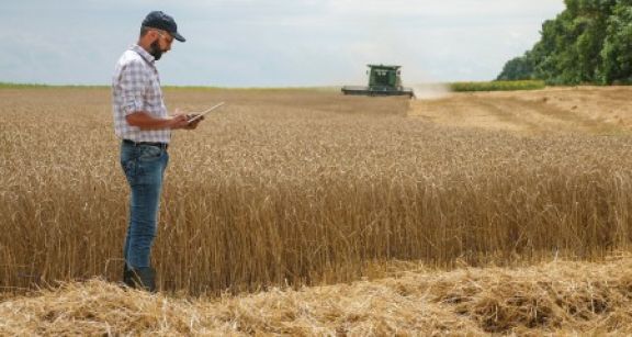Renouvellement du bail rural : gare au respect du contr&ocirc;le des structures !