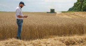 Renouvellement du bail rural : gare au respect du contr&ocirc;le des structures !