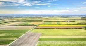 100 000 exploitations agricoles de moins en 10 ans !