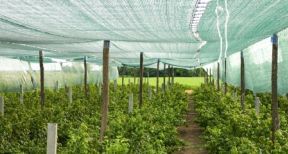 Les agriculteurs encourag&eacute;s &agrave; se prot&eacute;ger contre les al&eacute;as climatiques