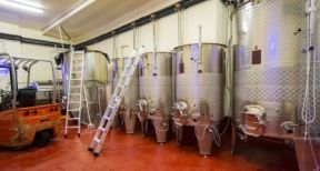 Viticulteurs : aide aux investissements vitivinicoles 2022