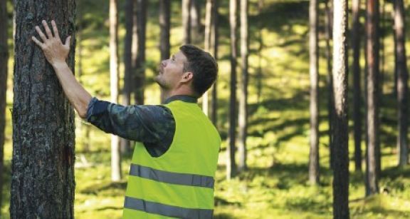 Investir dans les bois et for&ecirc;ts avec les GFI