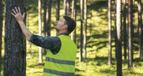 Investir dans les bois et for&ecirc;ts avec les GFI