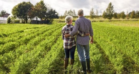 Non-salari&eacute;s agricoles : une pension major&eacute;e revaloris&eacute;e