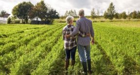 Non-salari&eacute;s agricoles : une pension major&eacute;e revaloris&eacute;e