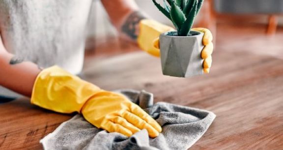 Services &agrave; la personne : versement en temps r&eacute;el du cr&eacute;dit d’imp&ocirc;t emploi &agrave; domicile