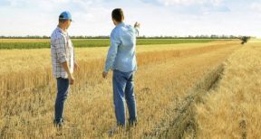 La prise de contr&ocirc;le des soci&eacute;t&eacute;s agricoles soumise &agrave; autorisation !