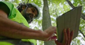 Experts forestiers : acc&egrave;s aux donn&eacute;es cadastrales
