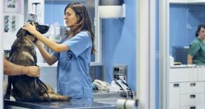 Forfait-jours : où s’arr&ecirc;te la libert&eacute; d’organisation du salari&eacute; ?
