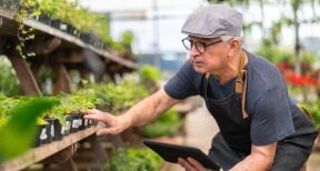 Une nouvelle croissance record pour les distributeurs d’articles de jardin en 2021