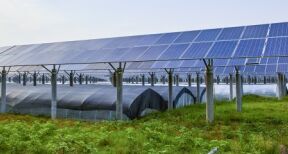 Vente d’une entreprise agricole dot&eacute;e de panneaux photovolta&iuml;ques : quelle exon&eacute;ration fiscale ?