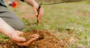 Viticulteurs : autorisations de plantations nouvelles pour 2022