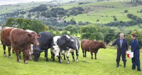 Cr&eacute;dit d’imp&ocirc;t pour cong&eacute; de l’exploitant agricole : quels justificatifs ?