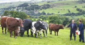 Cr&eacute;dit d’imp&ocirc;t pour cong&eacute; de l’exploitant agricole : quels justificatifs ?