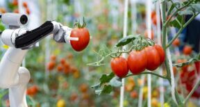 Aide &agrave; l’acquisition de mat&eacute;riels agricoles innovants