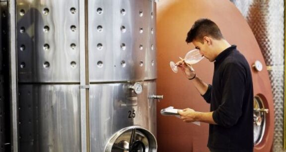 Viticulteurs : une aide pour les activit&eacute;s de vinification apr&egrave;s le gel de 2021