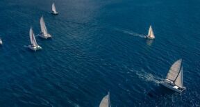 Une dizaine de chargeurs s’engagent pour soutenir le transport maritime v&eacute;lique
