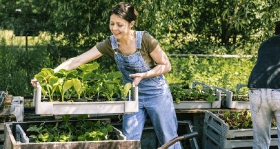 Du nouveau pour la protection sociale des non-salari&eacute;s agricoles