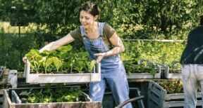 Du nouveau pour la protection sociale des non-salari&eacute;s agricoles
