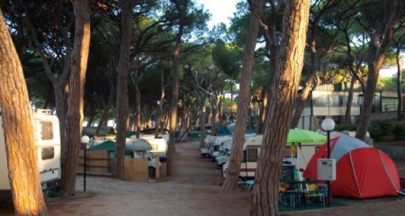 Les r&eacute;servations de campings font le plein