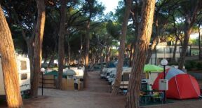 Les r&eacute;servations de campings font le plein