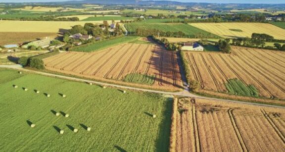 Le march&eacute; des terres agricoles en 2021