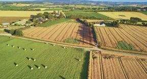 Le march&eacute; des terres agricoles en 2021