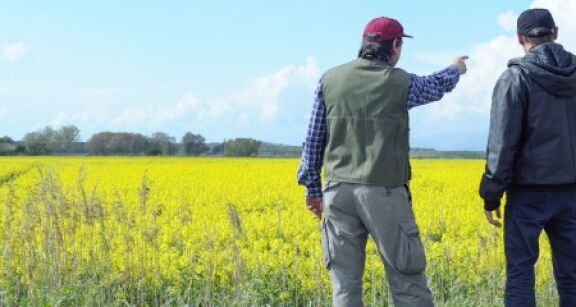 R&eacute;siliation d’un bail rural pour cause d’arrachage d’une haie