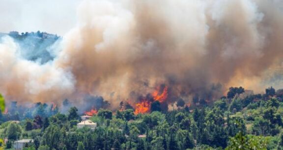 L’Urssaf au chevet des entreprises touch&eacute;es par les feux de for&ecirc;ts