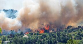 L’Urssaf au chevet des entreprises touch&eacute;es par les feux de for&ecirc;ts
