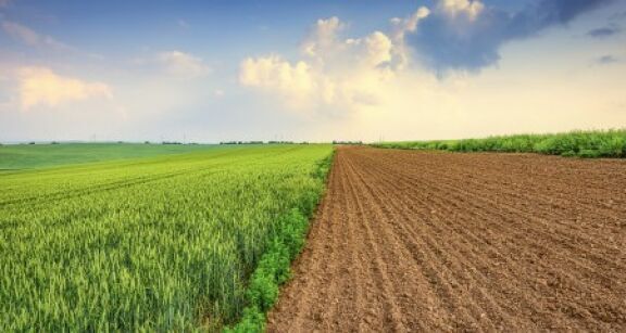 Quel prix pour les terres agricoles et viticoles en 2021 ?