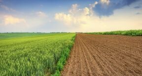 Quel prix pour les terres agricoles et viticoles en 2021 ?