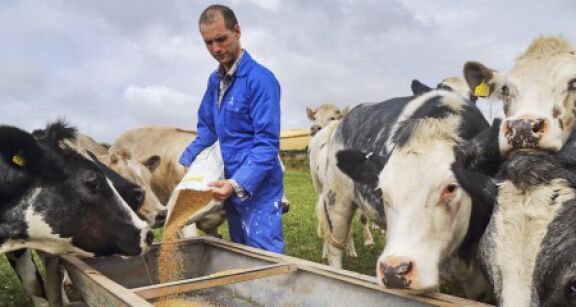 Exploitants agricoles : encore quelques jours pour demander l’aide « Pec r&eacute;silience » !