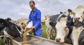 Exploitants agricoles : encore quelques jours pour demander l’aide « Pec r&eacute;silience » !