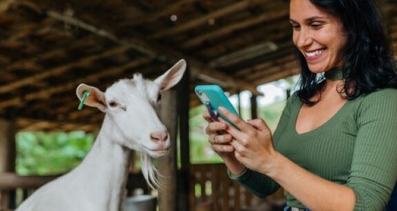 &Eacute;leveurs : montant des aides animales pour 2022