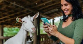 &Eacute;leveurs : montant des aides animales pour 2022