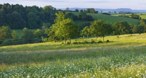 Un droit de pr&eacute;emption sur des terrains agricoles pour pr&eacute;server la ressource en eau