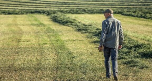La reprise par le bailleur des terres lou&eacute;es apr&egrave;s le d&eacute;c&egrave;s du locataire
