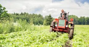Du nouveau pour la fiscalit&eacute; des exploitations agricoles