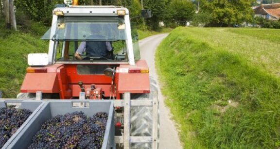 Viticulteurs : plus que quelques jours pour d&eacute;clarer votre r&eacute;colte !
