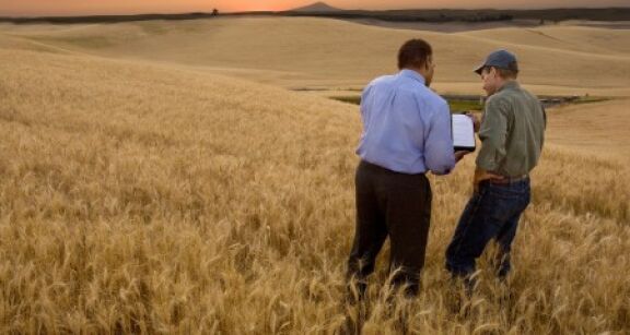 Les cessions de parts de soci&eacute;t&eacute;s agricoles d&eacute;tenant du foncier sous contr&ocirc;le !
