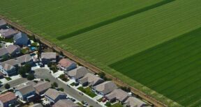 Toutes cultures : fixation de distances de s&eacute;curit&eacute; pour l’&eacute;pandage de produits CMR2